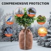 Pot Protector Plants Winter 40 x 40 cm, Thermal Pot