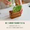OKA Vegetable Sprout Pot, Brown (Broccoli, Sprout, Home Garden, Pea