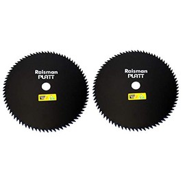 Raisman 10 Inch Diameter 80 Teeth Brush Cutter Blade with 1 Inch Arbor Hole (Pack of 2)