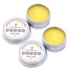 ACEMELIA Pack of two repairing lip balms, 2 x 10