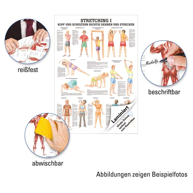 Ruediger Anatomie MIPO68LAM Streching I Board, 24 cm x 34