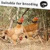 TVSVKWE 8 Pieces Rooster Collar, Adjustable Collar, Poultry Supplies, Anti-Rooster