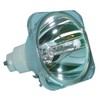 SpArc Bronze for FoxConn VPD-X580 Projector Lamp (Bulb Only)