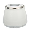 Electric Garlic Chopper 3 Blade Powerful Motor Multifunctional Food Processor
