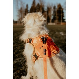 Boss Dog Tactical Leash, Hunter Orange, 4 FT