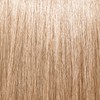 ion Ammonia-Free Permanent Hair Color Natural Light Chestnut Blonde 8N,