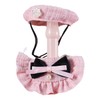 WEILFYONK Dog Birthday Hat Bow Tie Dog Cat 2 Pack