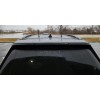 Coolballs Quantity 2 - Strong Magnetic Base Fake Dummy Antennas