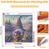 Axquilon Gnome Diamond Art Kits for Adults, 5D Gnome Diamond