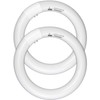 CHKADAWA FC8T9/CW Circular Fluorescent Light Bulb, 8 Inch Round T9