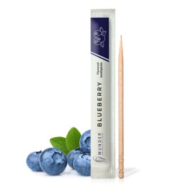 Wonder Toothpicks with Flavour - 100x Individually Packed toothpicks - Available in 8 Refreshing Flavours - Gentle Oral Hygiene - Fresh Breath - Individually Packed Flavoured toothpicks (Blueberry)