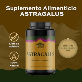 Astragalus - 60 Cápsulas 500 mg c/u - Astrágalo Puro - Adaptógenos Suplemento Natural de Alta Calidad - Sin Azúcar y Sin Aditivos