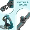 VIVAGLORY Easewalk Dog Harness, Anti-Pull Dog Harness for Training &