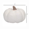Elanze Designs Classic White 6 inch Resin Harvest Decorative Pumpkin