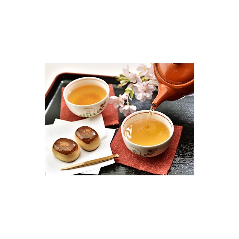 Plum Roasted Tea Bag (0.13 oz (3.5 g) x 10