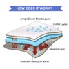Large Underarm Sweat Pads for Women and Men Fight Hyperhidrosis