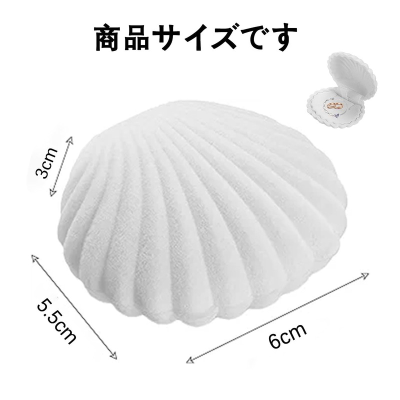PAVIKE Accessory Case, Gift Box, Shell Shape, Trinket Case, Jewelry