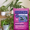 Coast of Maine Organic & Natural Bar Harbor Blend Potting