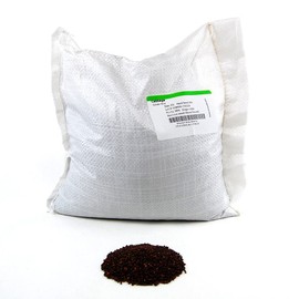 Golden Acre Cabbage Seeds: 5 Lb - Bulk, Non-GMO, Heirloom Garden Seeds - Vegetable Gardening, Growing Microgreens