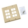 12-Port Double-Gang Wall Plate (Ivory)