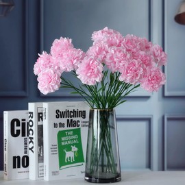 INSUNSIX Pink Carnations Artificial Flowers 15PCS Pink Flowers Carnations Flowers Silk Flowers 21.25in Fake Flowers for Wedding Home Table Centerpieces Floral Arrangements(Light Pink)