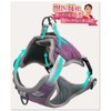【獣医師推薦】犬 ハーネス （2ステップで簡単装着・首やお腹への負担軽減） 夜間反射材 サイズ調節可能 小型犬 中型犬 大型犬 (くすみパープル, XS)