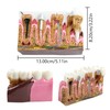 Dental Caries Tooth Anatomy Model Tooth Pathology Models Caries Evolution