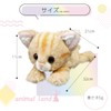 Animal Land Plush Animal Pencil Case, American Short Hair -
