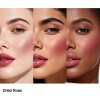 Monochromatic Rubor En Barra/labial Ojos, Mejillas Y Labios