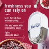 Febreze Plug In Air Freshener, Odor-Fighting Scented Oil Refill, Air