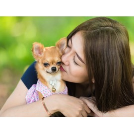 EnerCoppeX 3500 Gauss Magnetic Bracelet 99.99% Pure Copper Magnetic Bracelet Classic Elegant Three Tone Female Bracelet with 8 Magnets (C)