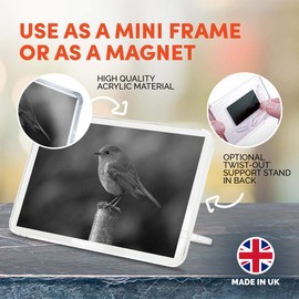 1 x Fridge Magnet - Robin Wildlife England #35771