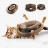 Yangmu 2 PCS Kitty Kurlz Cat Toy Magic Organ Cat