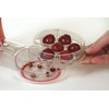 Cherry Pitter, Cherrystone Remover Mess Free 6 Capacity at Once