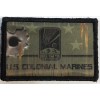 Sgt APONE Aliens movie Morale Patch Military Tactical Army Flag