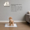 Paños Absorbentes Pañales Tapete Perro Entrenadores 100 Pz