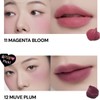 OIAD Silver Pulse Moussecream Lip&cheek 7.5g, Color:POSY BRICK