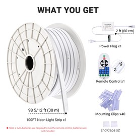 DELight 100FT/30m LED Strip Neon Rope Lights with Remote Control, 2-Sided Waterproof Cuttable AC 110V Dimmable Flexible LED Lights DIY for Bedroom Outdoor Bar Commercial Decoration, Warm White