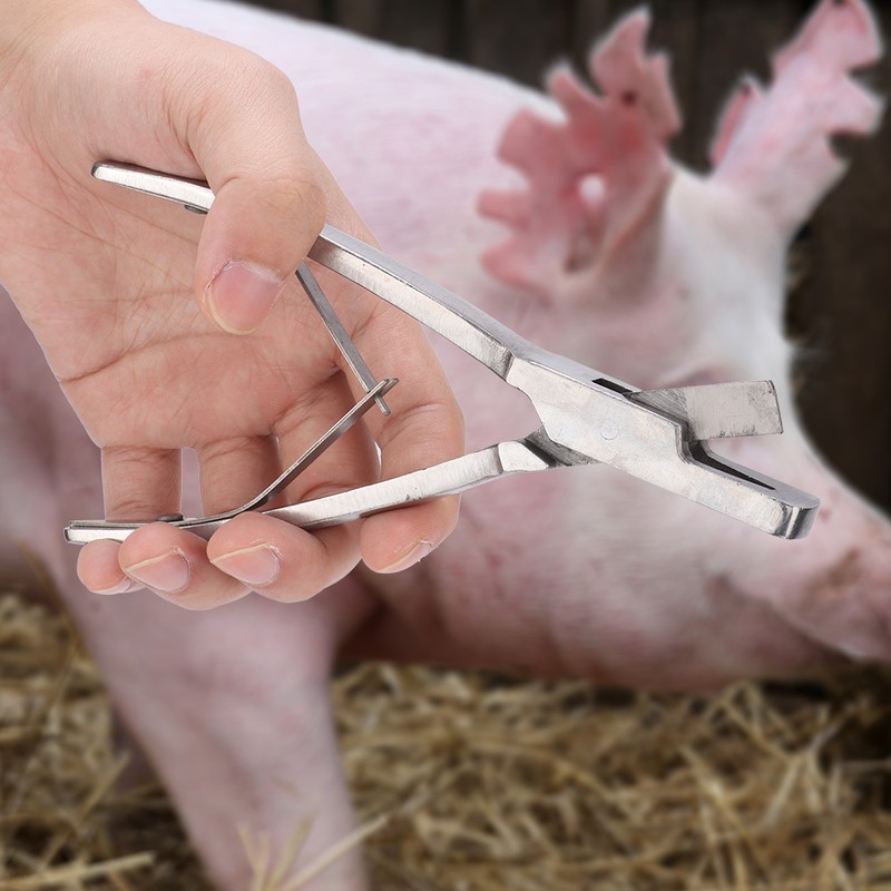 Stainless Steel Pig Ear Tag Plier Pig Equipment Farm Animals