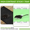 Qualirey 24 Pack Mouse Glue Trap, Super Sticky Traps Mouse