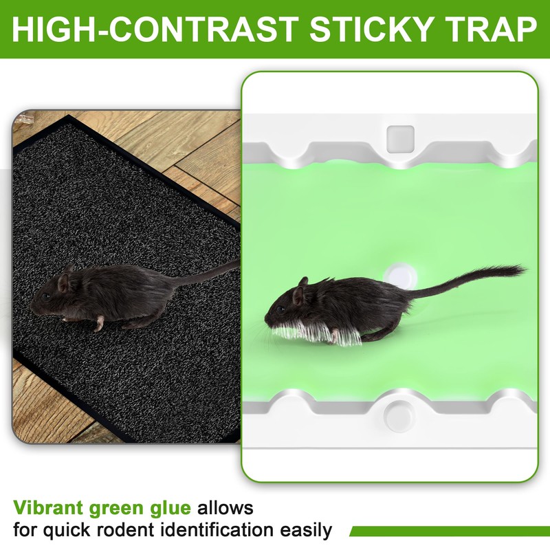 Qualirey 24 Pack Mouse Glue Trap, Super Sticky Traps Mouse
