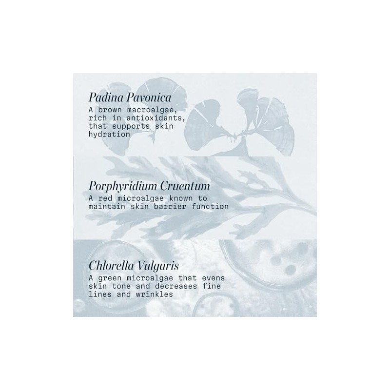 ELEMIS Pro-Collagen Marine Cream Supersize, 100ml (3.3 fl oz)