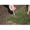 GreenStake Box of 500 Biodegradable Stakes 4"