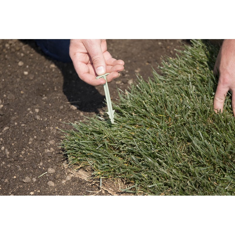 GreenStake Box of 500 Biodegradable Stakes 4"