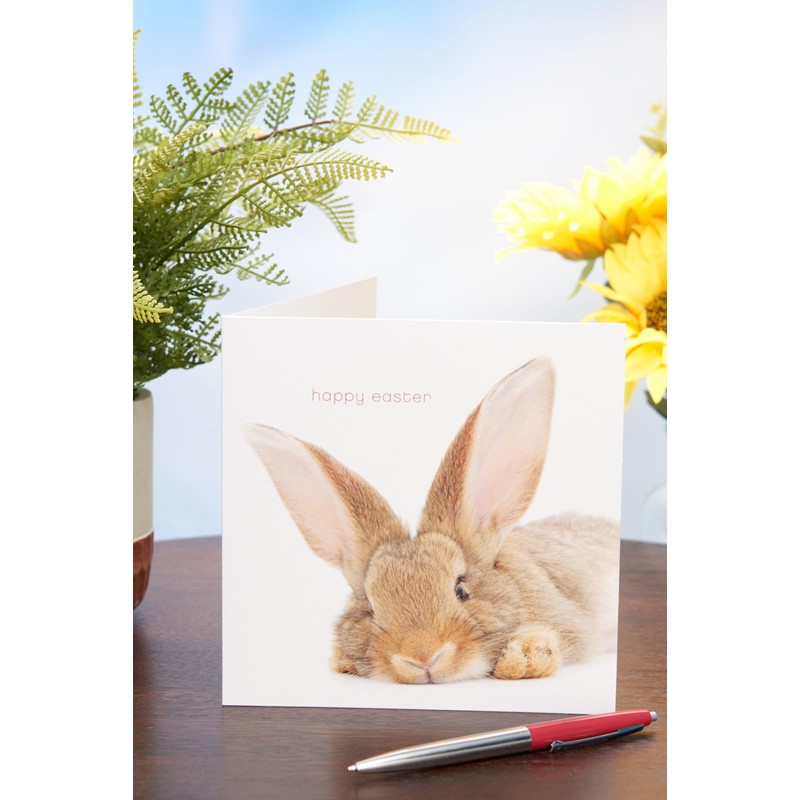 UK Greetings Easter Card for Him/Her/Friend - Cute Rabbit Design