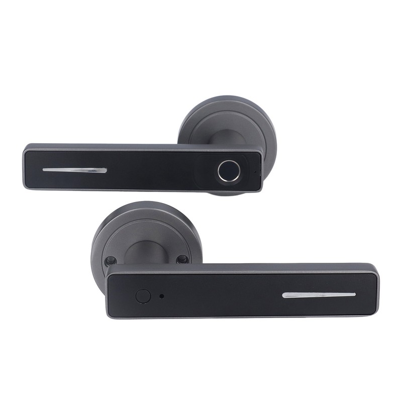 Smart Door Handle Fingerprint with 2 Key Fast Recognition Static