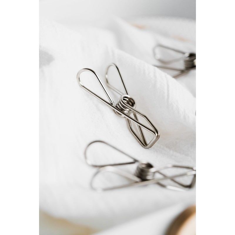 Seymour's Stainless Steel Pegs 20 Pack