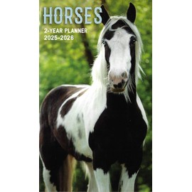 Paper Craft 2025-2026 Value Pocket Calendar for Planning, Scheduling, and Organizing (Horses)