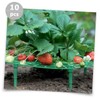 BIUDECO Pcs Strawberry Planting Brackets Plant Climbing Racks for Balcony