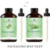 Handcraft Blends Rosemary Essential Oil – Huge 4 Fl Oz